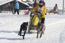 Lenk 2012 SM